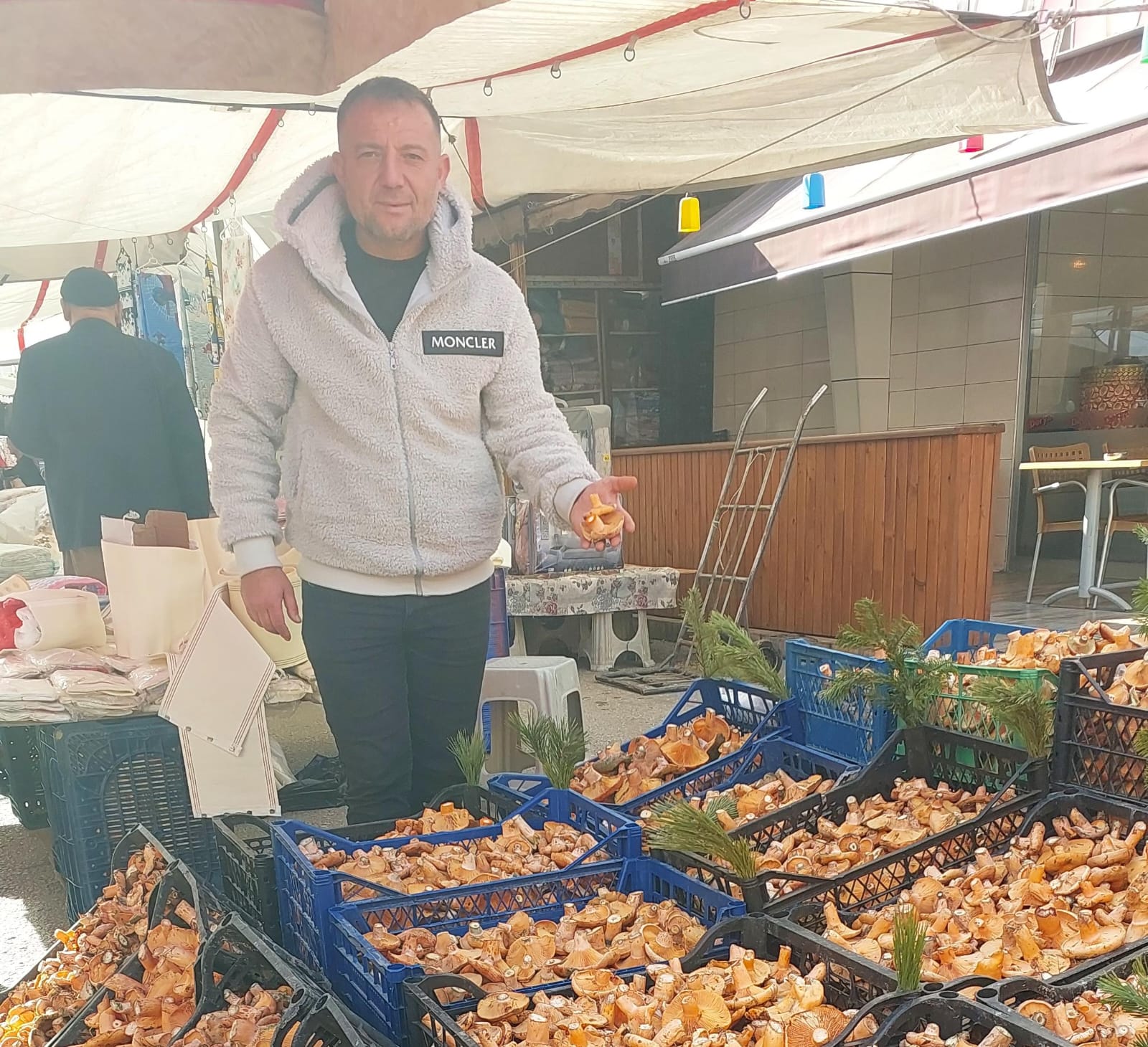 Kastamonu’da Mantar Azlığı Tezgahlara Yansıdı (1)