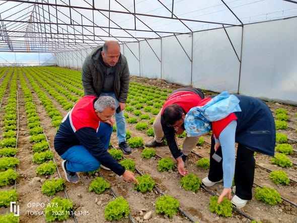 Kastamonu'da Seralara Sıkı Denetim (3)