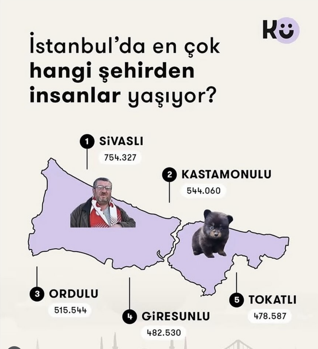 Kastamonu'nun %22Ayı%22 Ile Temsil Edilmesi Tartışma Yarattı