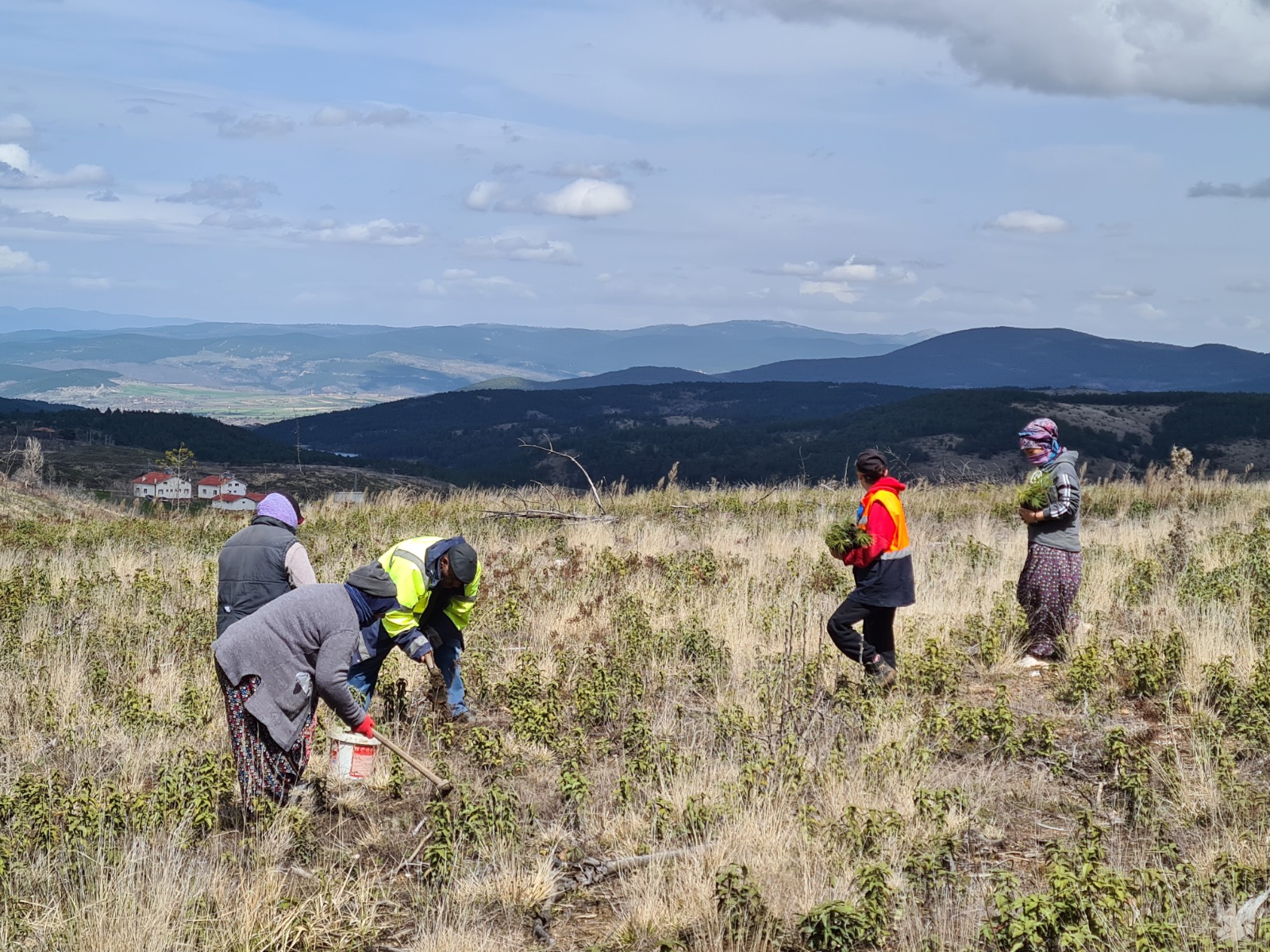 Taşköprü Yangin Sahasi (5)