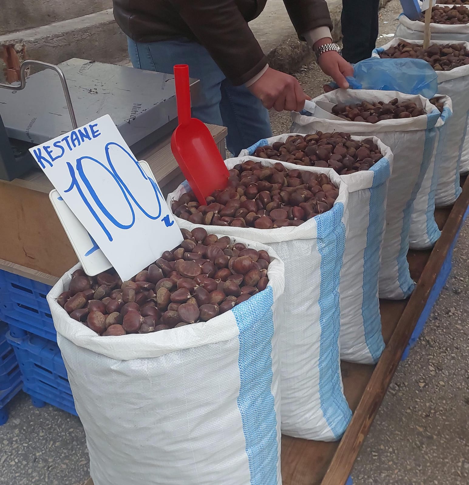 Yerli Kestane’de Altın Dönem (2)