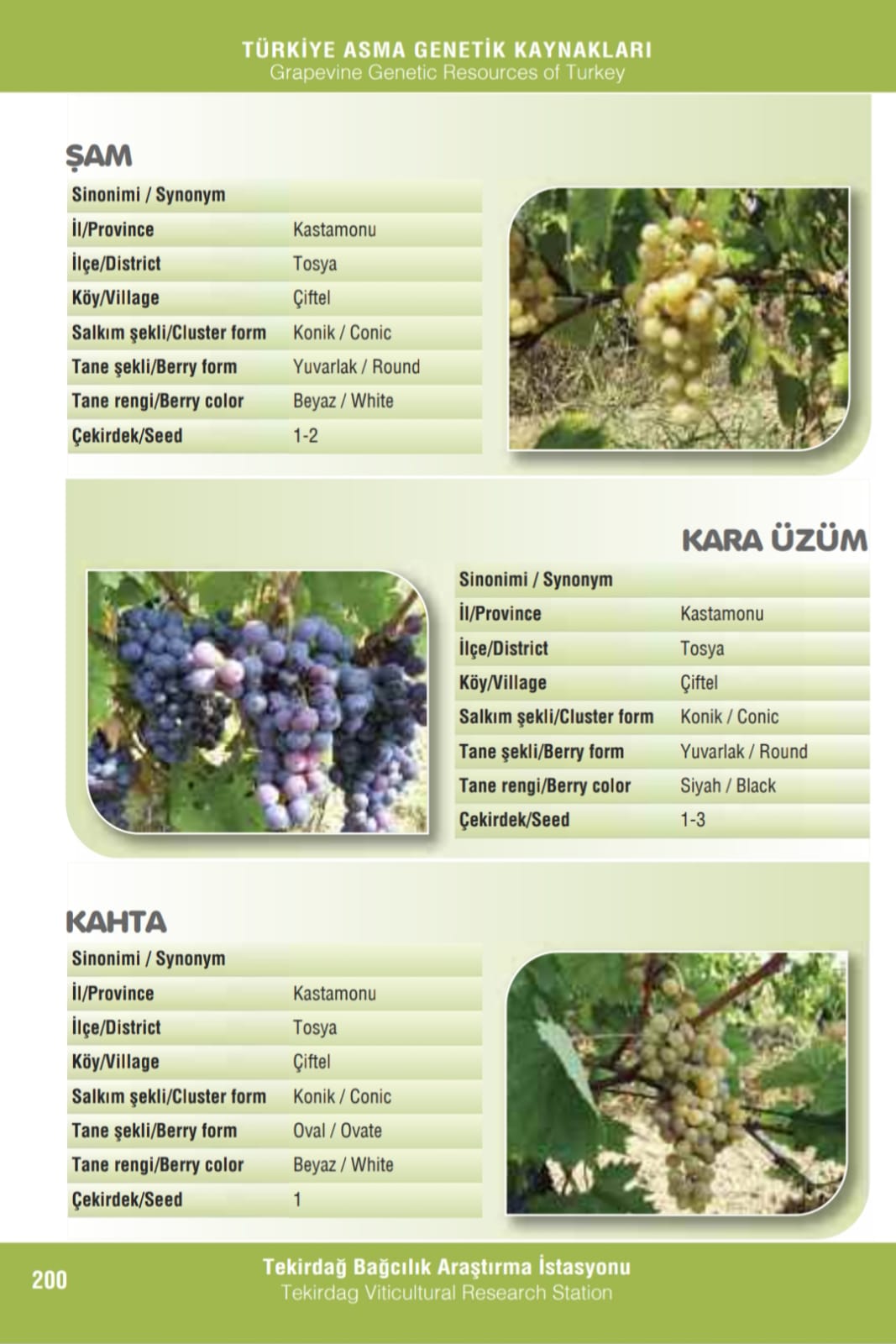 Afacan 20 Aralık Köşe Yazısı (2)