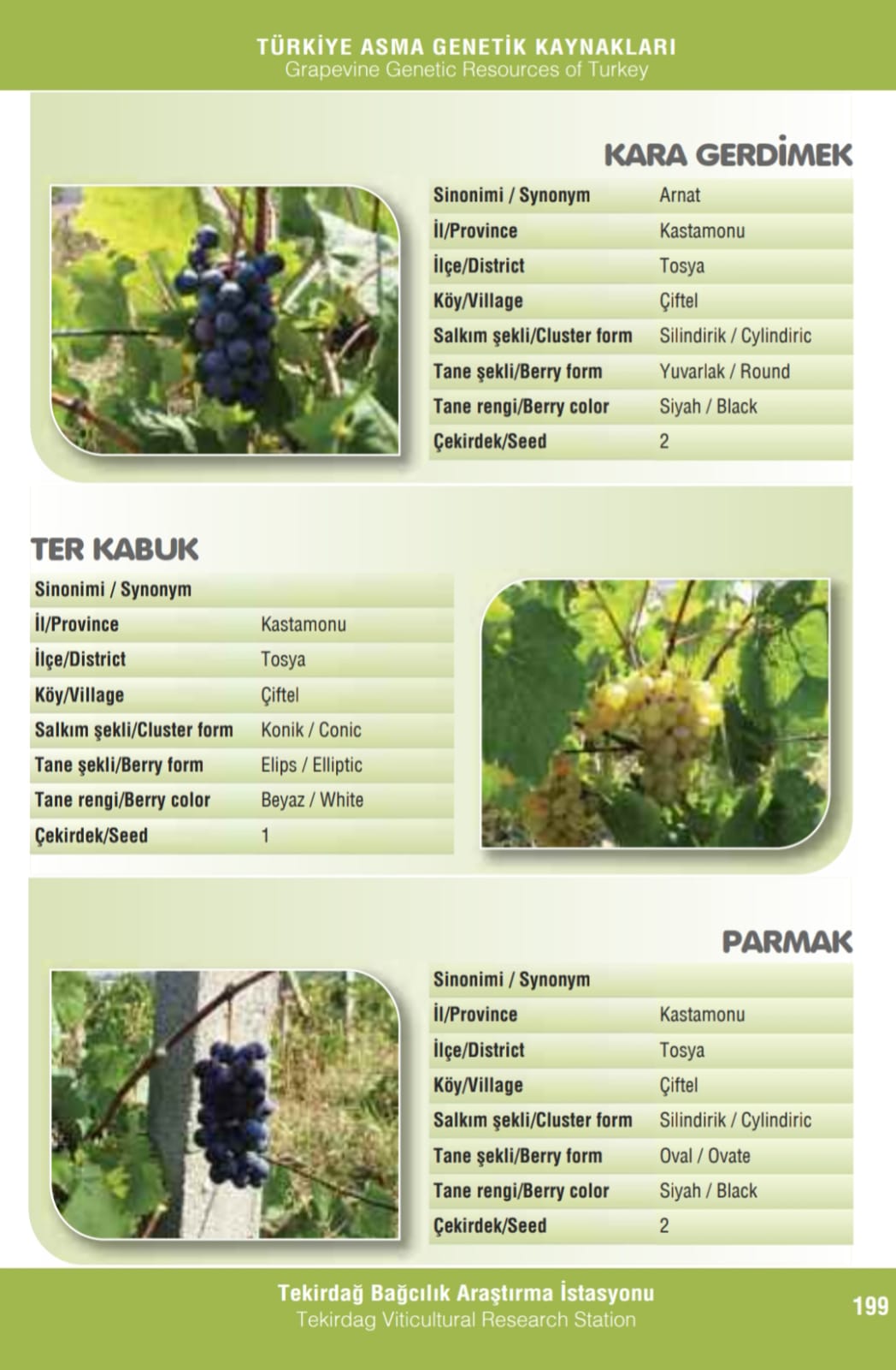 Afacan 20 Aralık Köşe Yazısı (3)