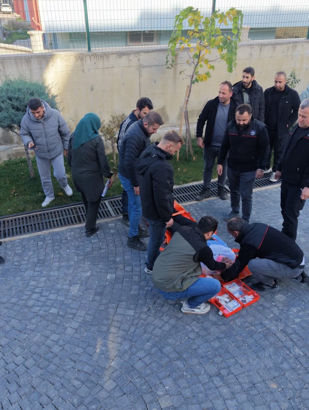 Bozkurt Orman Isletme (2)