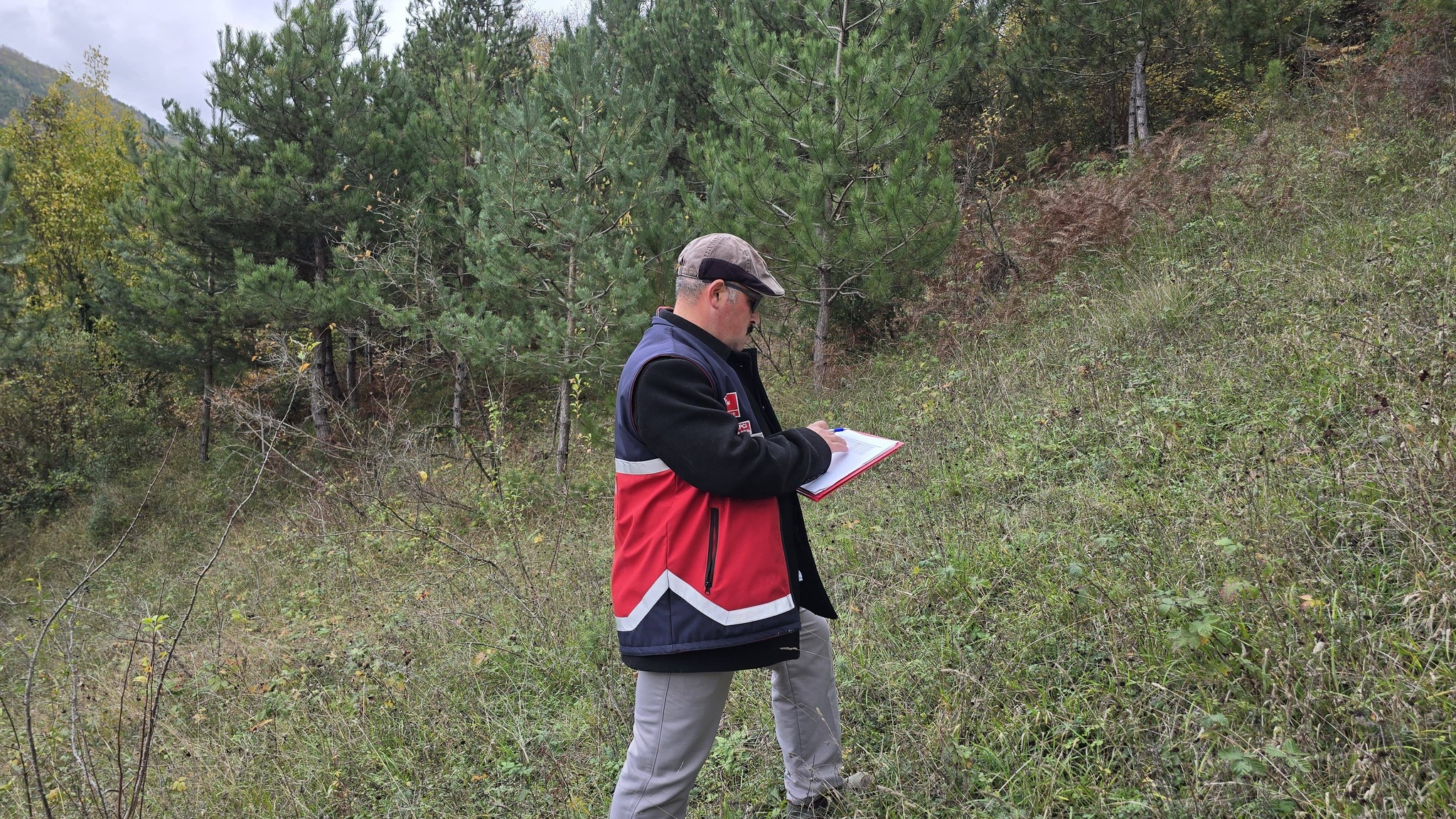 Çatalzeytin'de Ürün Beyan Doğrulama Çalışmaları Sürüyor (1)