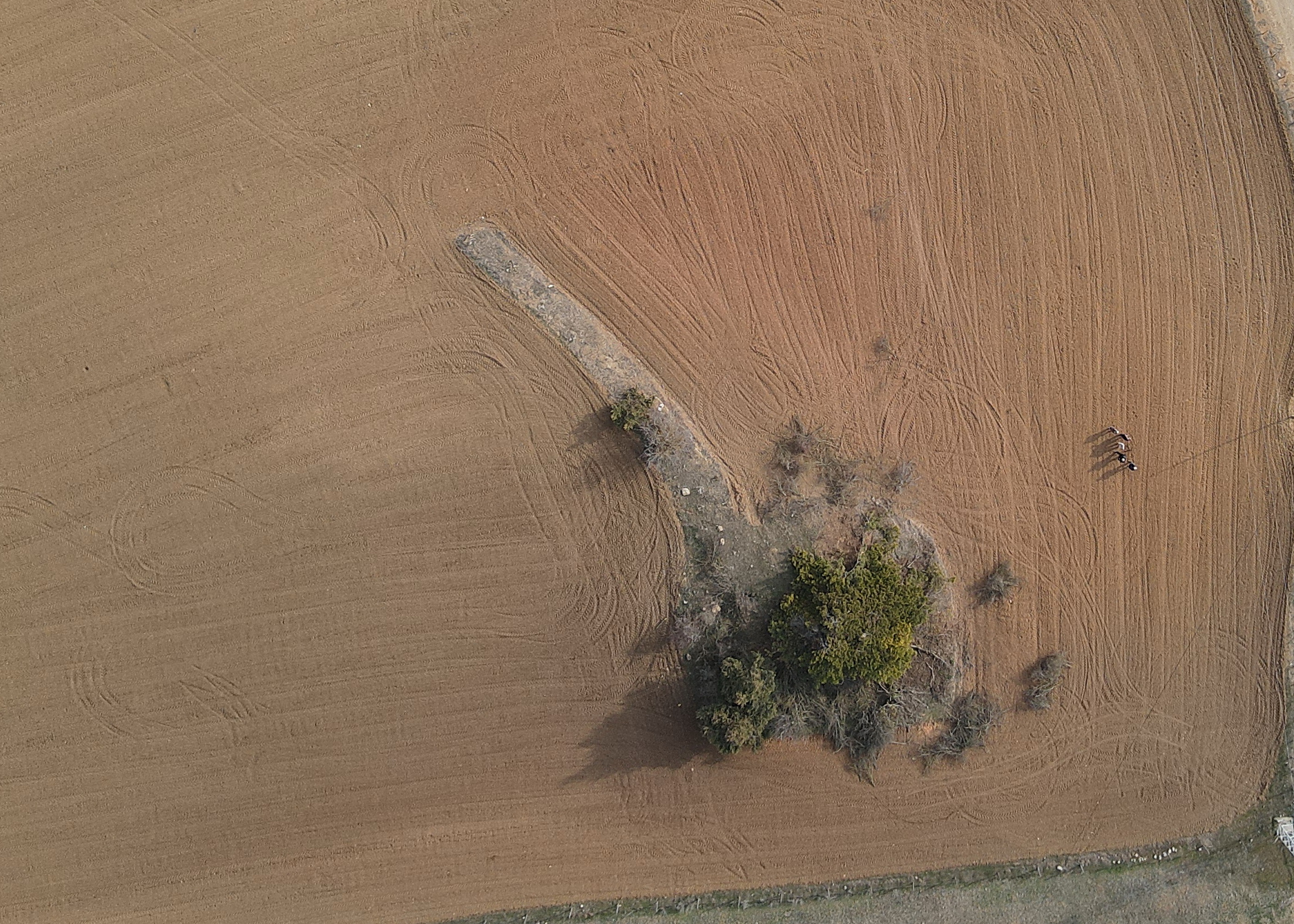 Cebrail Keleş 20 Aralık Köşe Yazısı (1)