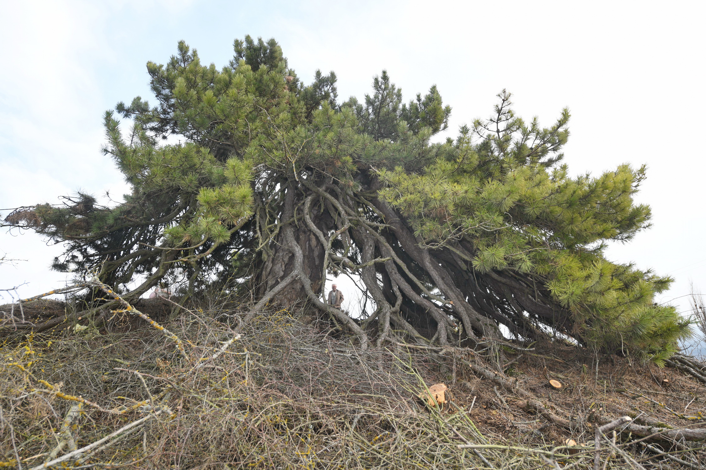 Cebrail Keleş 20 Aralık Köşe Yazısı (5)