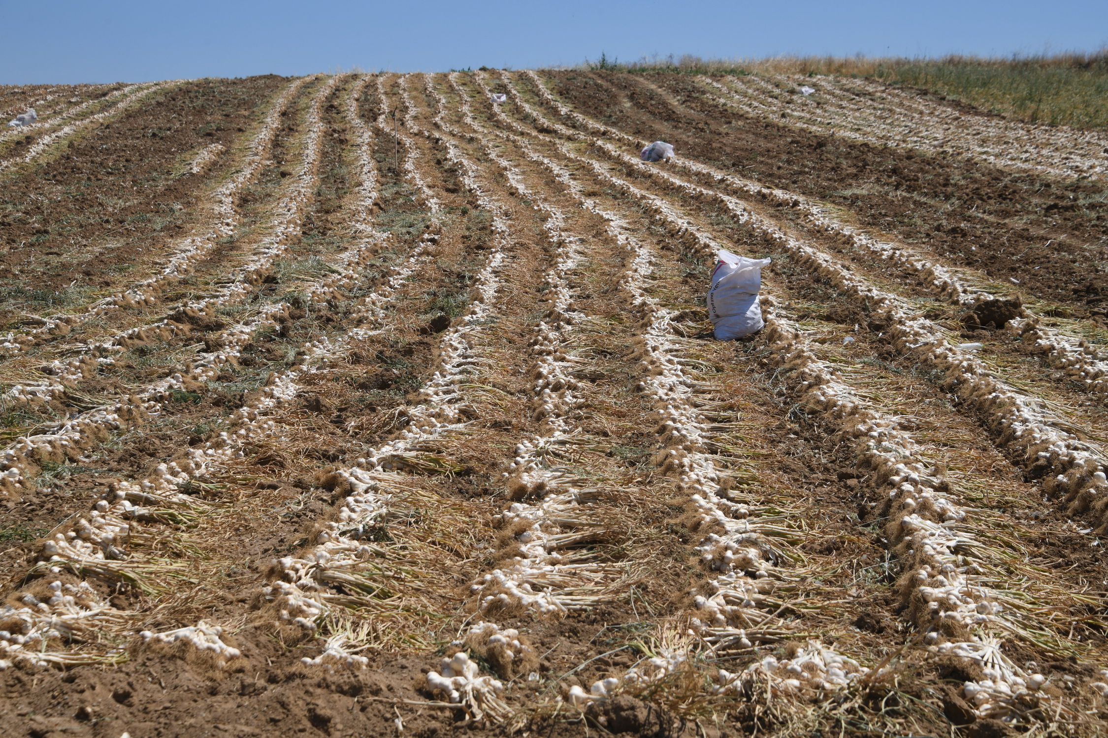 Cebrai̇l Keleş Köşe (12)-12
