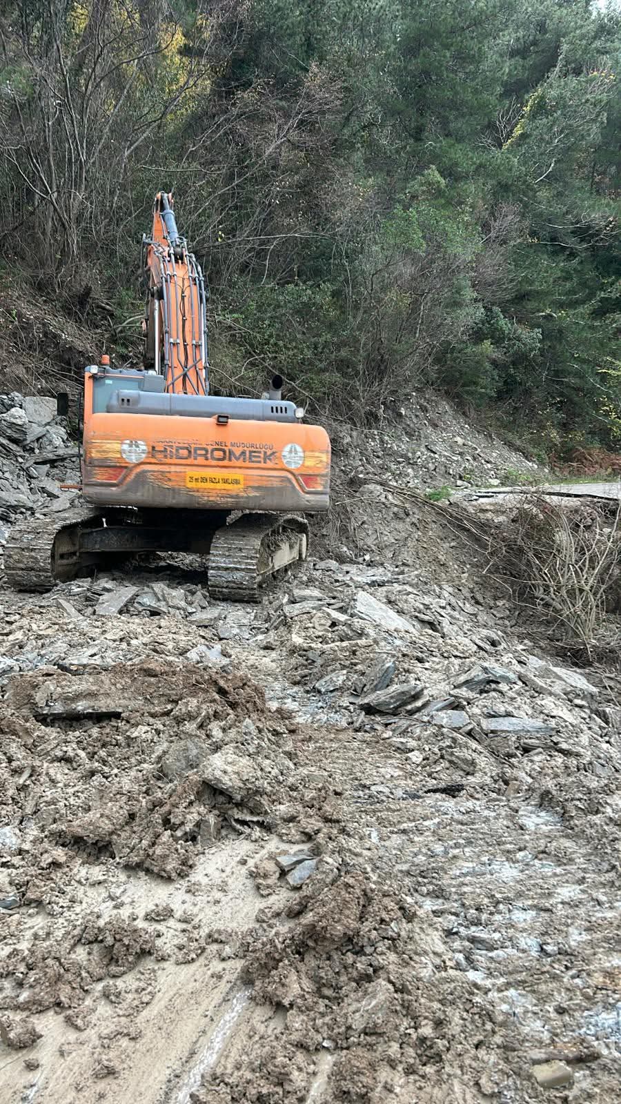 F B I M G 1766645387318