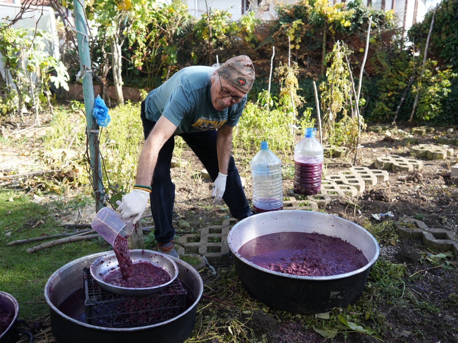 Kastamonu Kokulu Uzum (3)
