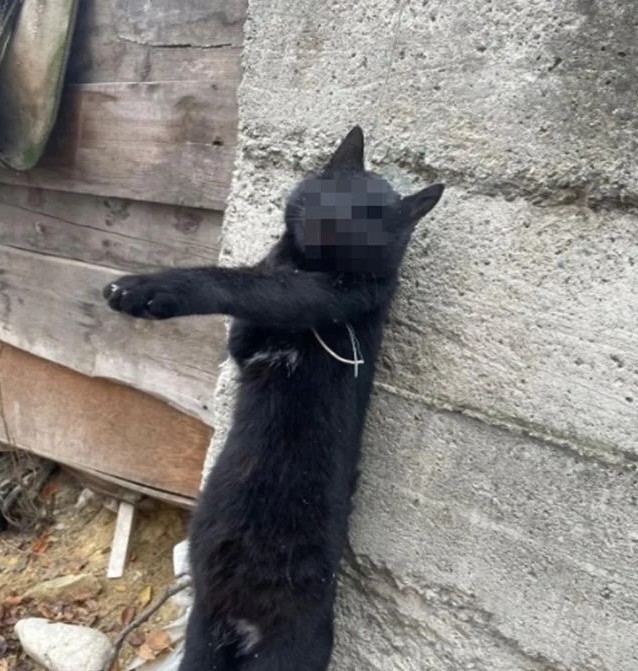 Kastamonu’da Kan Donduran Manzara!