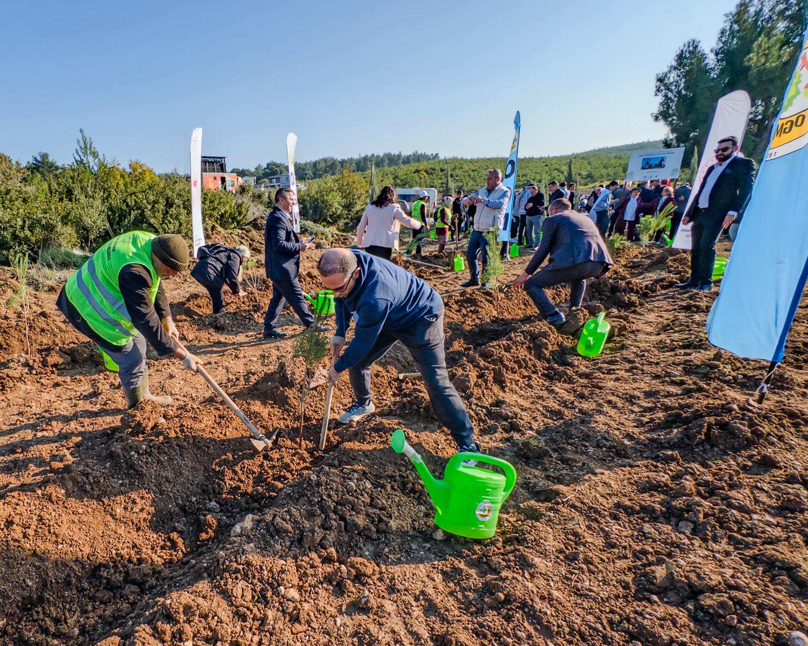 Kastamonu’dan, İzmir’e Şehit Şerife Bacı Hatıra Ormanı (1)