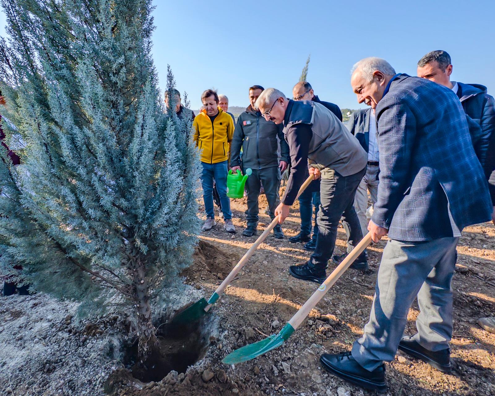 Kastamonu’dan, İzmir’e Şehit Şerife Bacı Hatıra Ormanı (3)