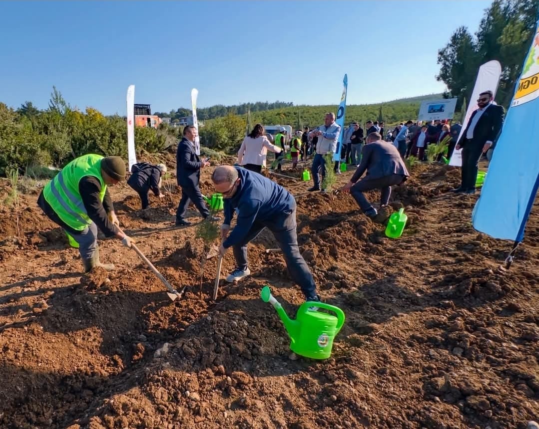 Kastamonulular İzmir’de 2 Bin Fidan Dikti (1)
