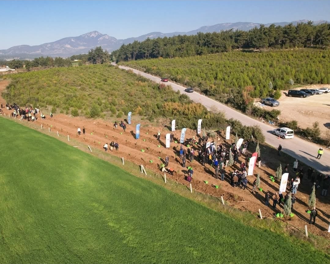 Kastamonulular İzmir’de 2 Bin Fidan Dikti (2)