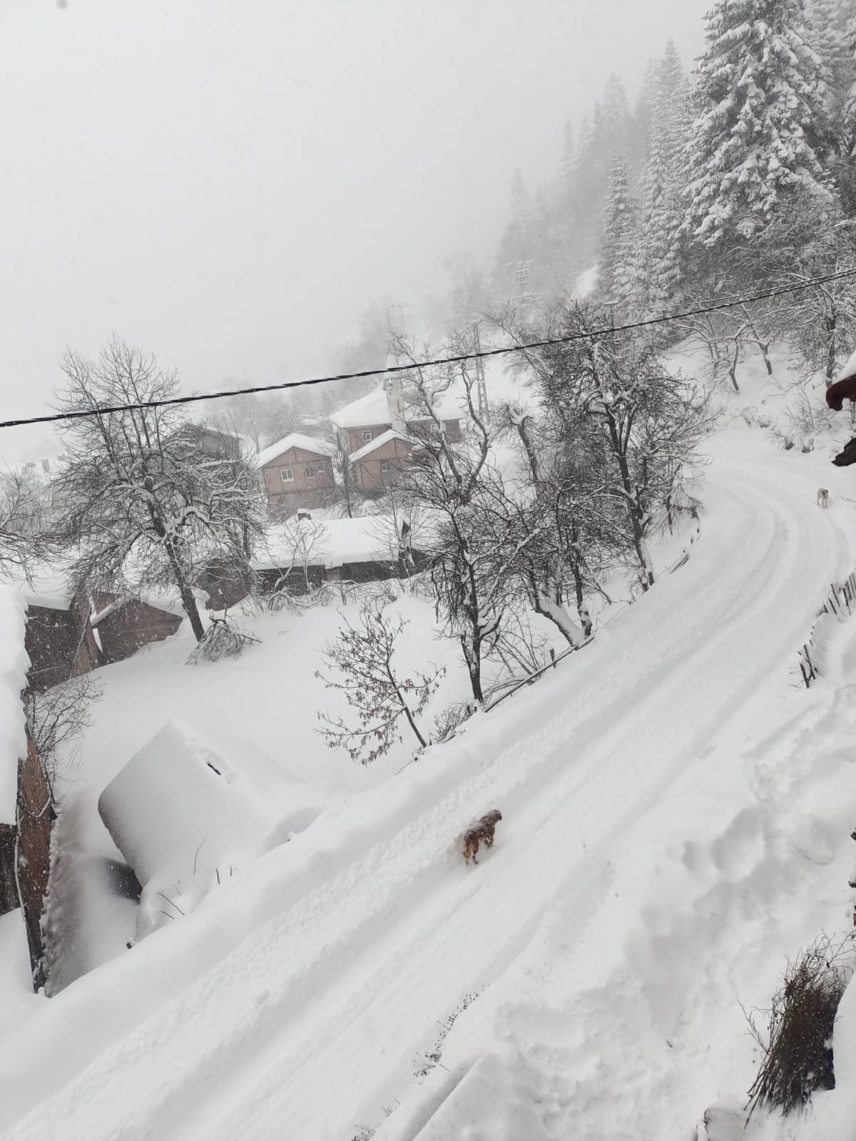 Kastamonu'nun Ilcesinde Kar Kalınlıgı 50 Santimetreyi Aştı (2)