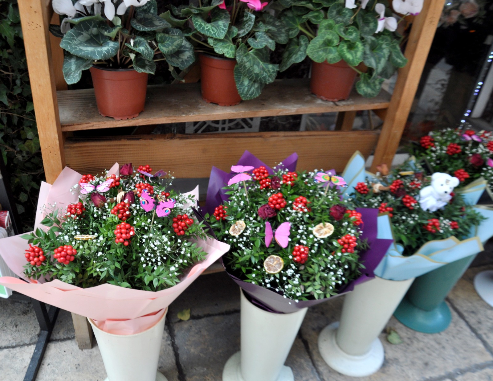 Kastamonu’yu Kokina Heyecanı Sardı (1)