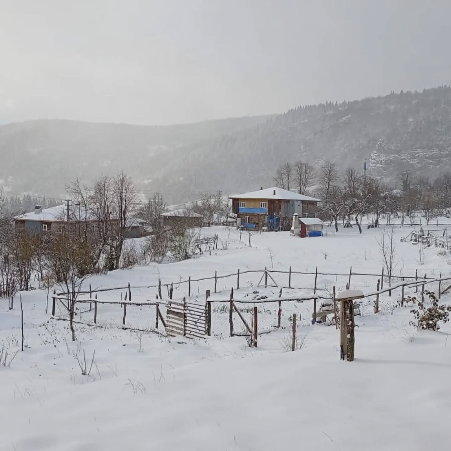 Şenpazar’da Kar Kalınlığı 40 Santimetreyi Aştı (1)