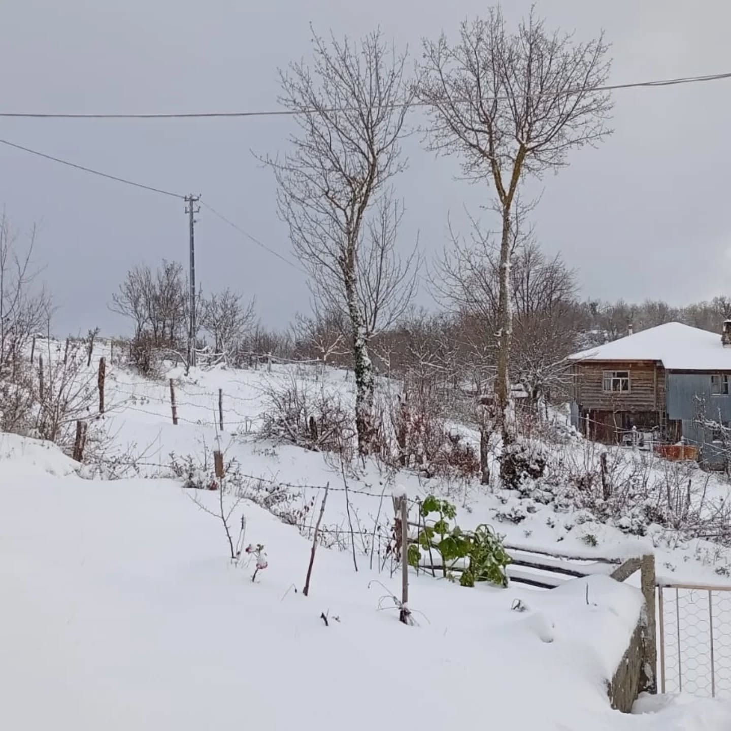 Şenpazar’da Kar Kalınlığı 40 Santimetreyi Aştı (2)