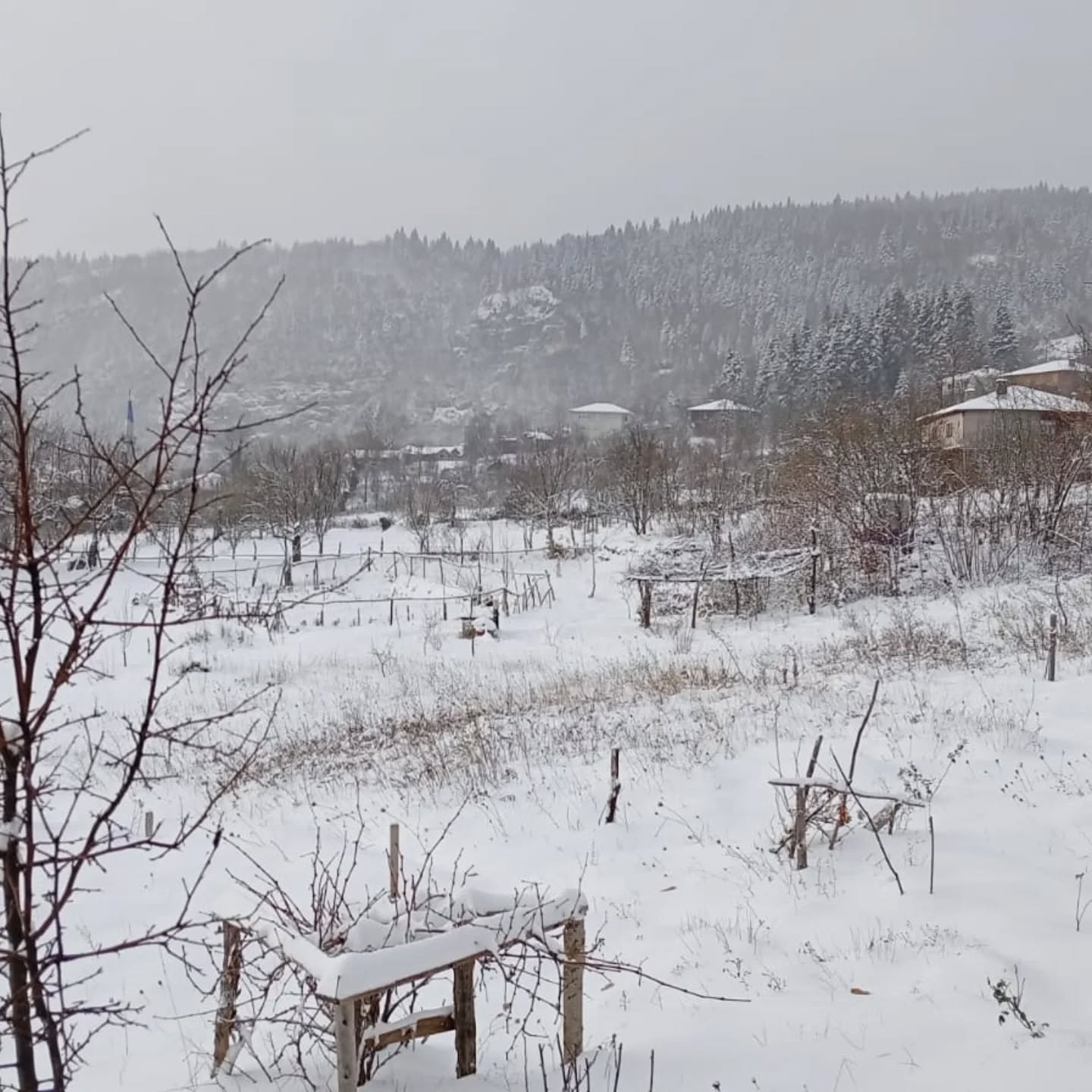 Şenpazar’da Kar Kalınlığı 40 Santimetreyi Aştı (3)