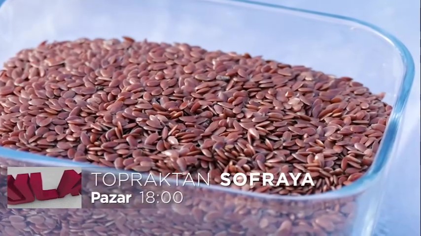 Topraktan Sofraya