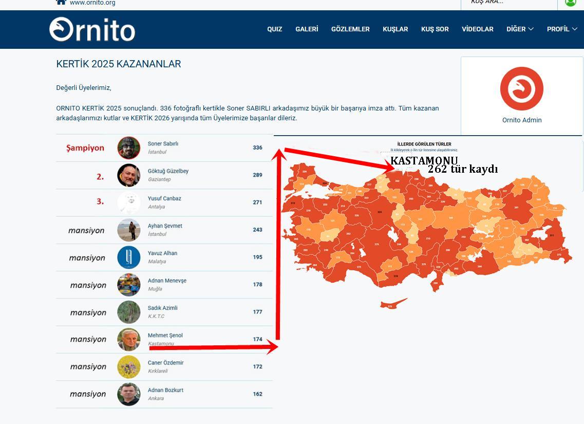 mehmetsenol mansiyon