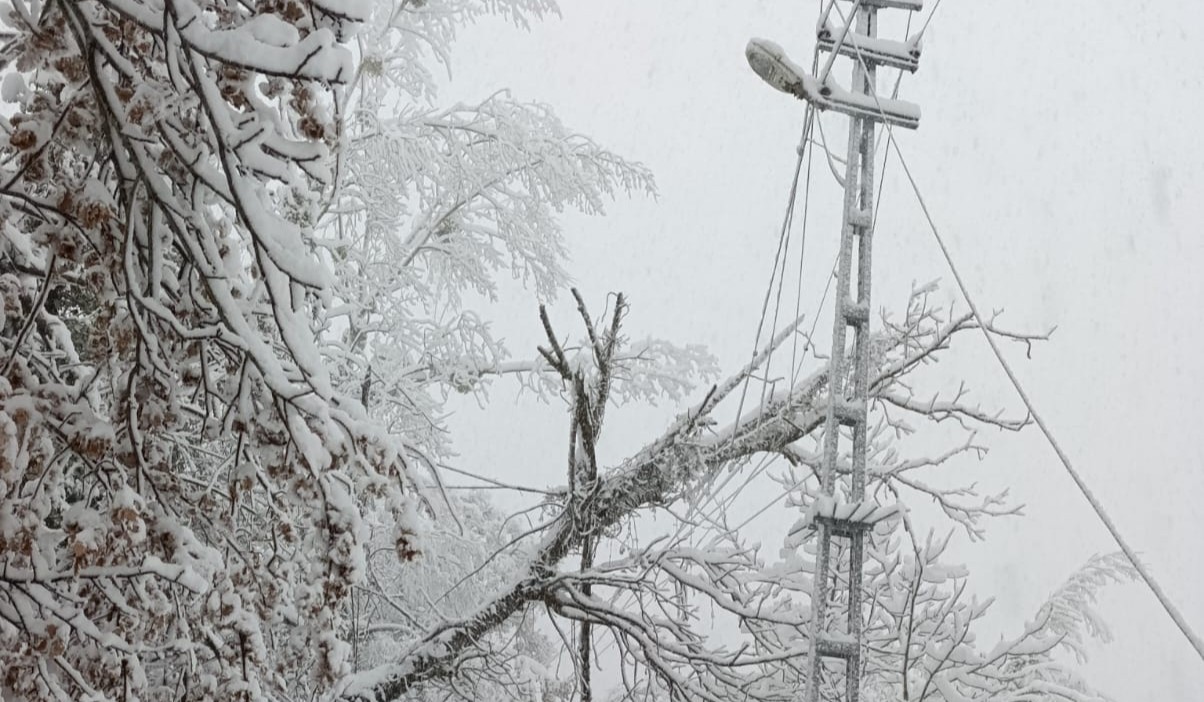 Başkent Edaş 7 24 (3)