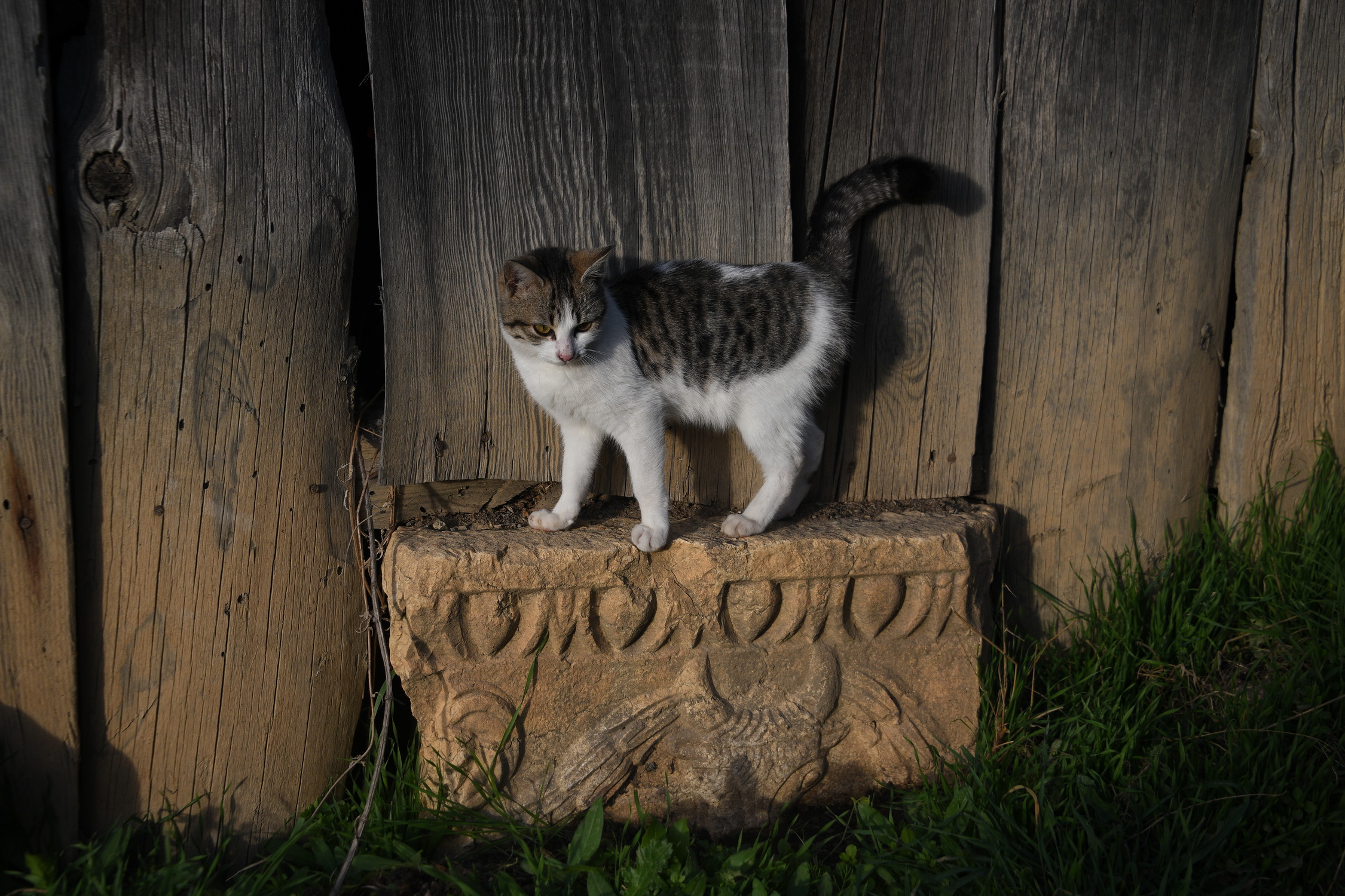 Cebrail Keleş 10 Ocak Köşe Yazısı (7)