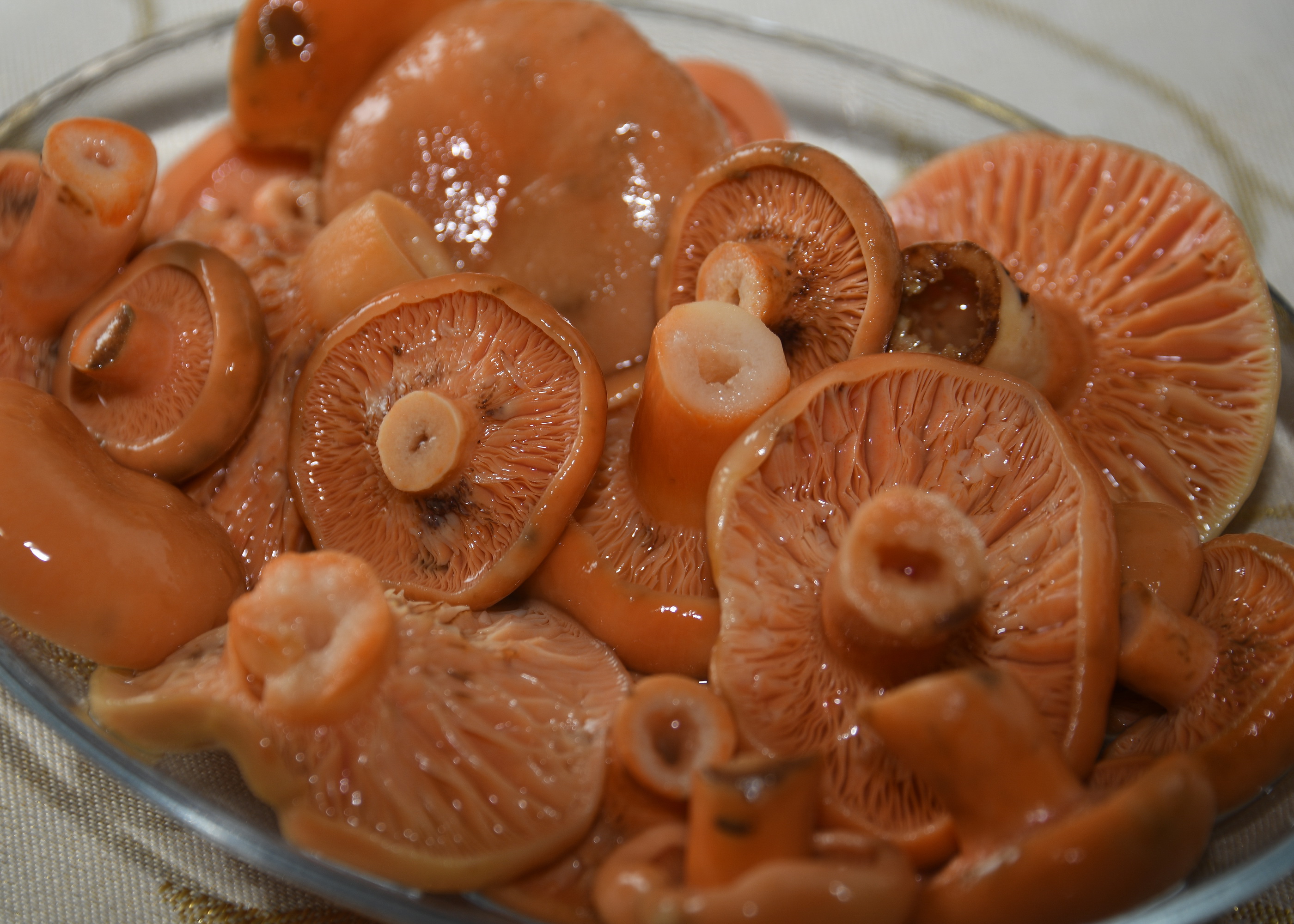 Cebrai̇l Keleş Köşe (11).Jpg