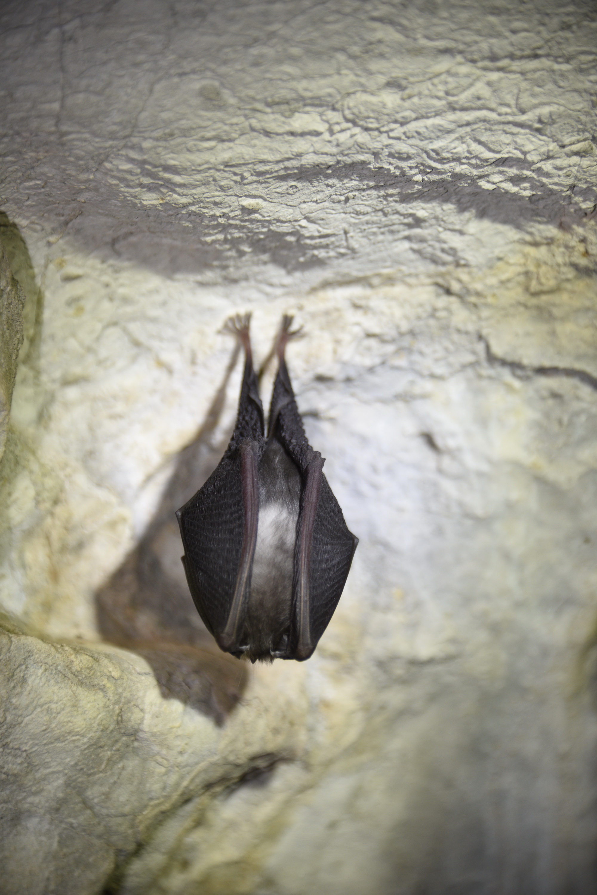 Cebrai̇l Keleş Köşe (1).Jpg