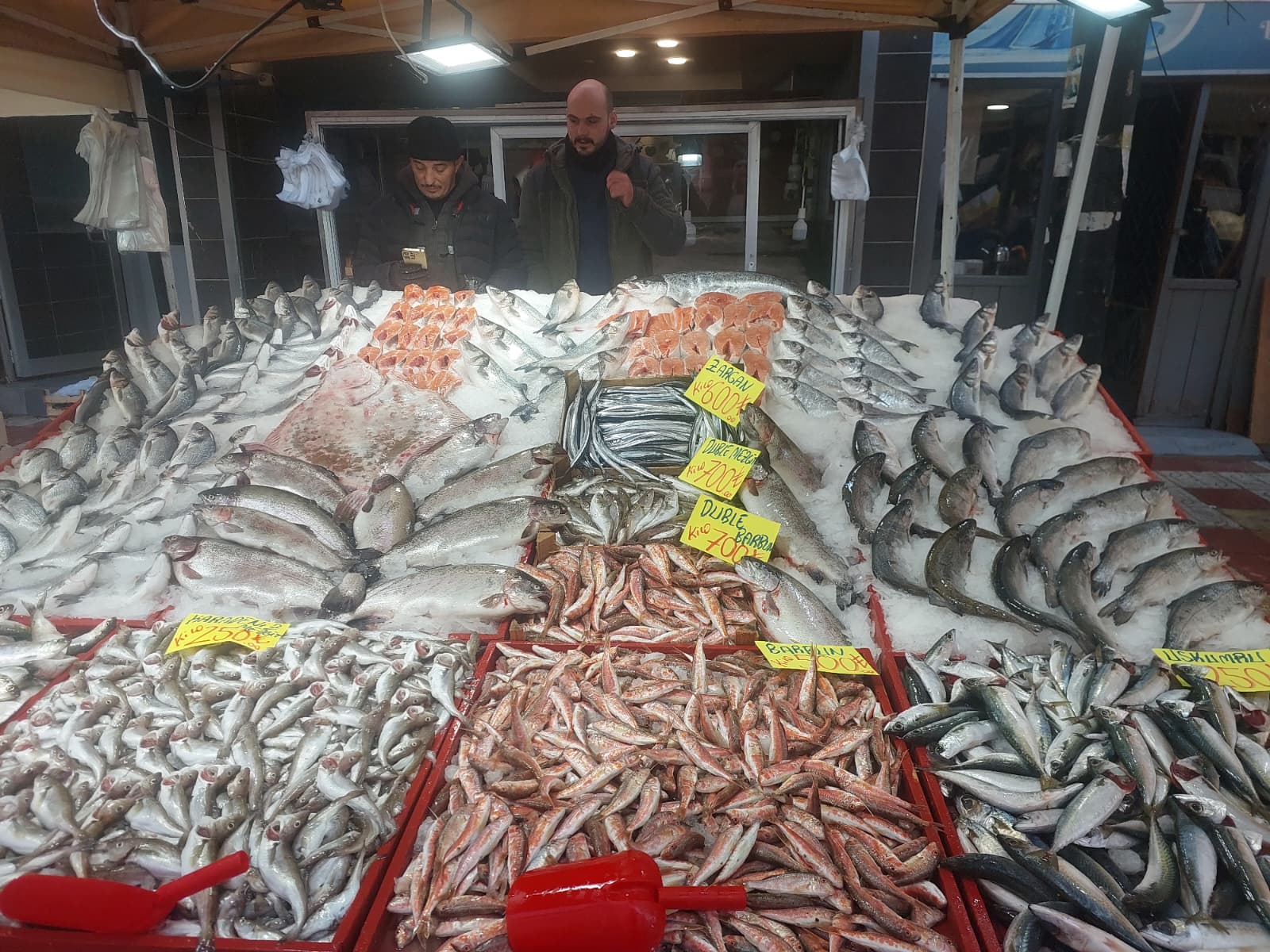 Hamsi Yeniden Tezgahta (1)