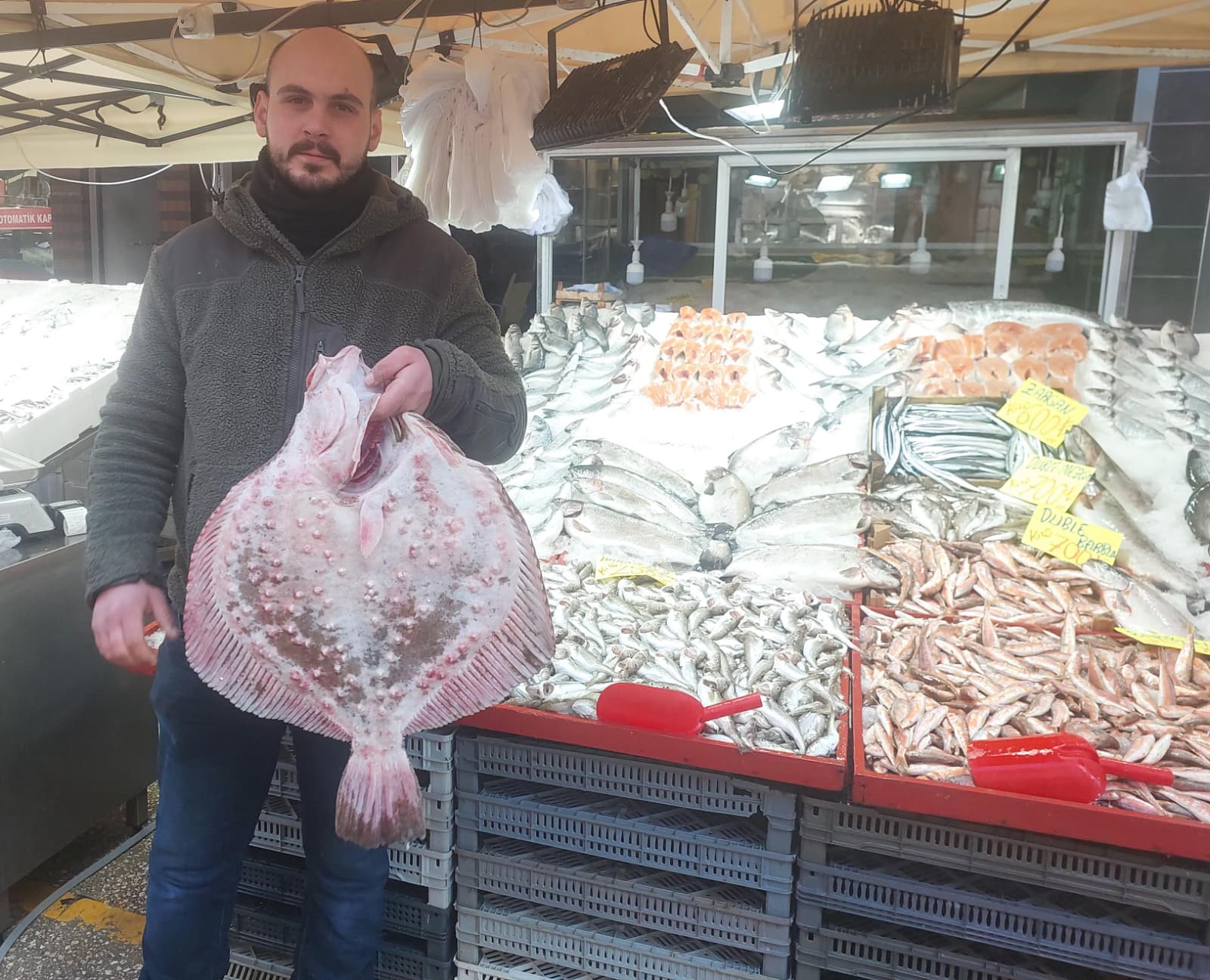 Hamsi Yeniden Tezgahta (3)