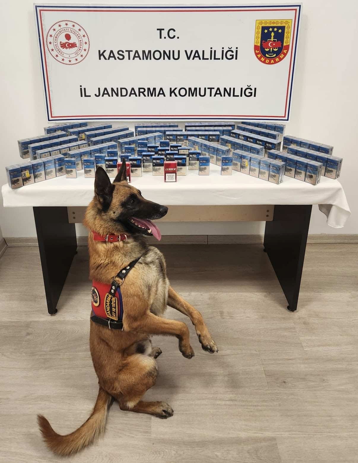 I M G 20260127 W A0001