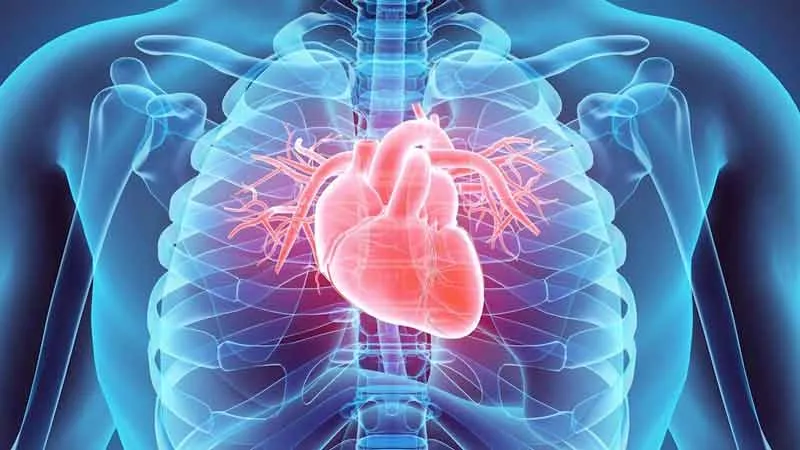 Kardi̇yoloji̇ Mesai̇ Dişi Poli̇kli̇ni̇ği̇