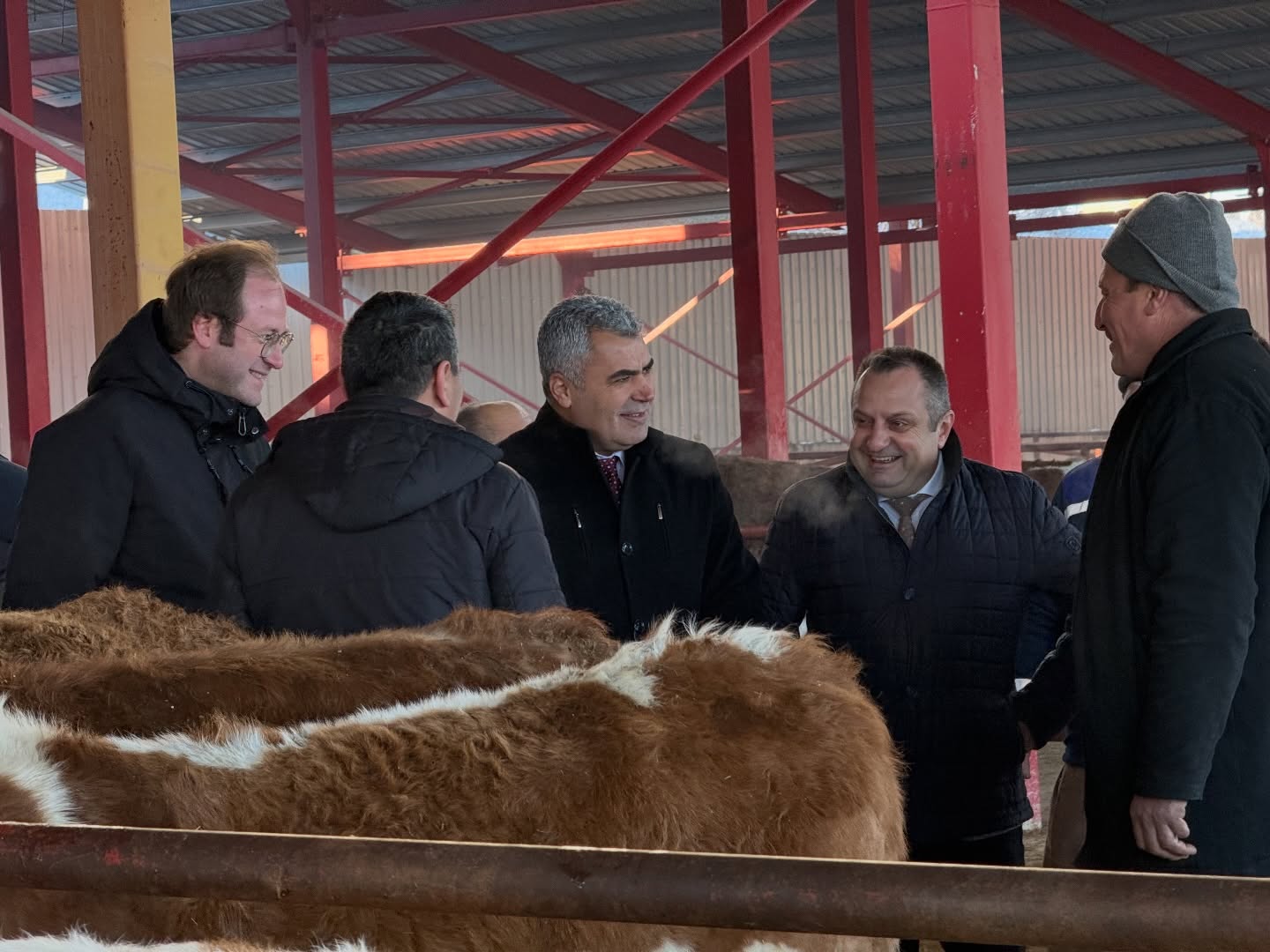 Kastamonu Hayvan Pazarı Kapılarını Açtı (3)