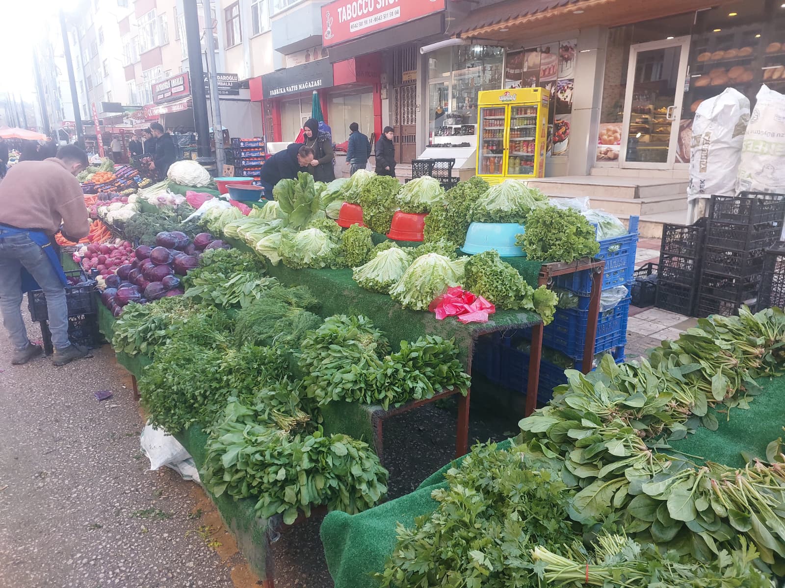 Kastamonu Pazar Soguk (1)