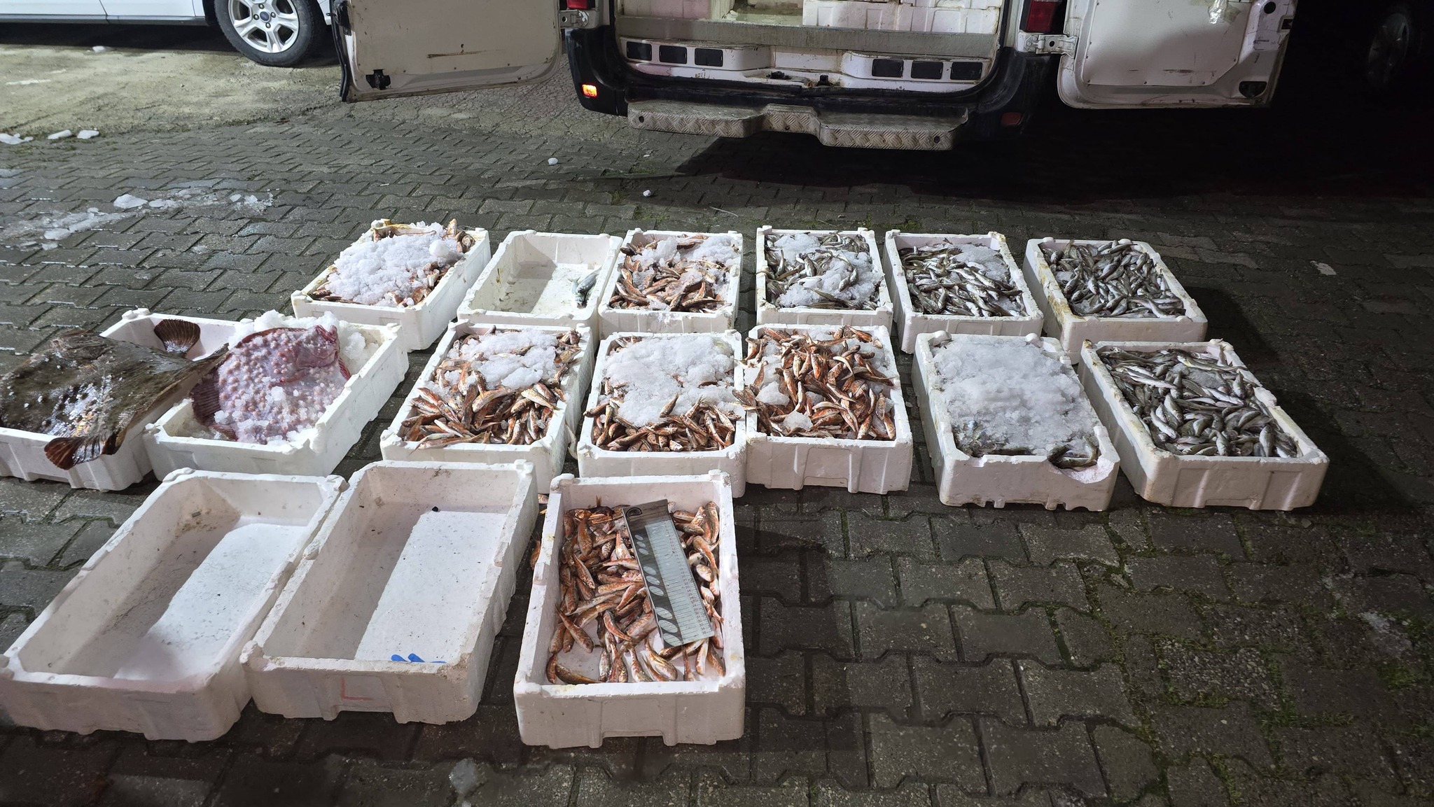 Kastamonu’da Denetim 1,5 Tonu Ortaya Çıkardı (3)