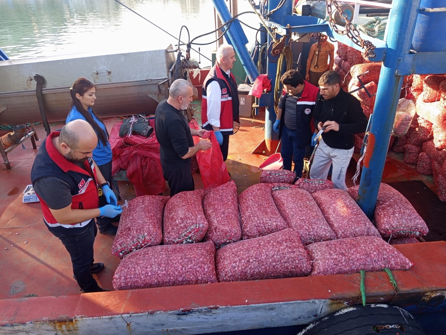 Kum Midyesi Denetimi (2)