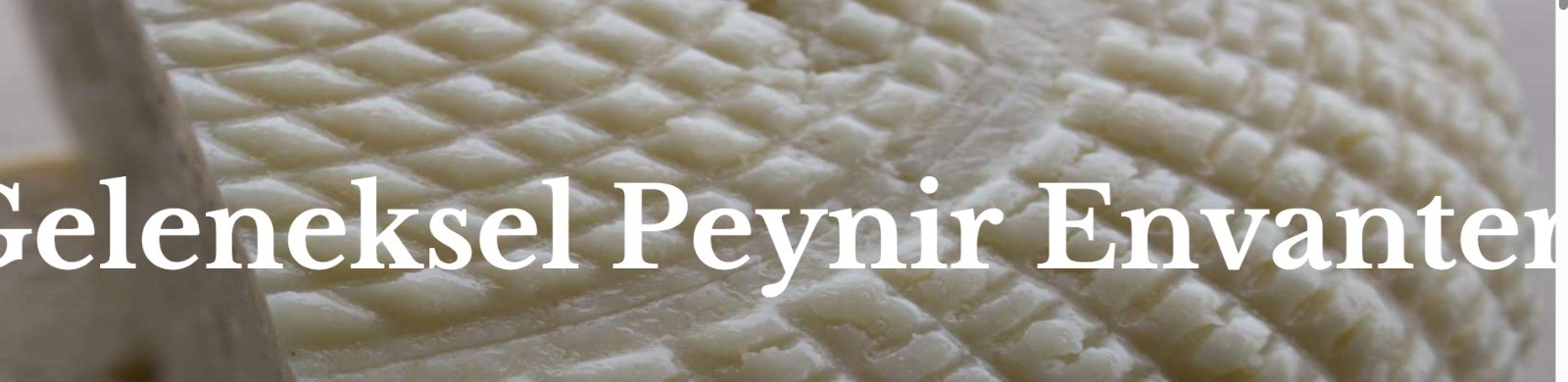 Mustafa Afacn Köşe (3).Jpg