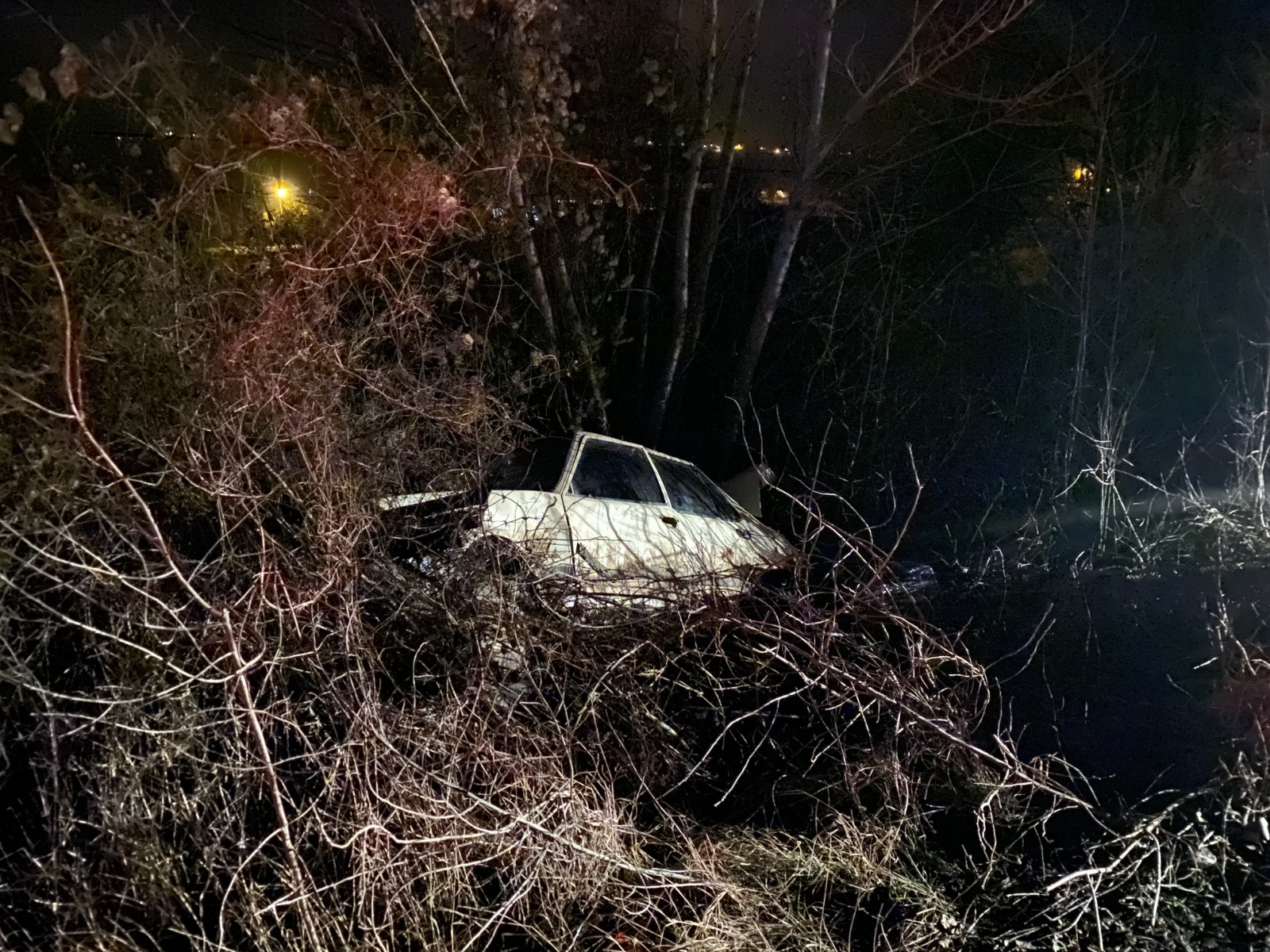 Otomobil Agaca Cakıldı, 1 Yaralı (1)