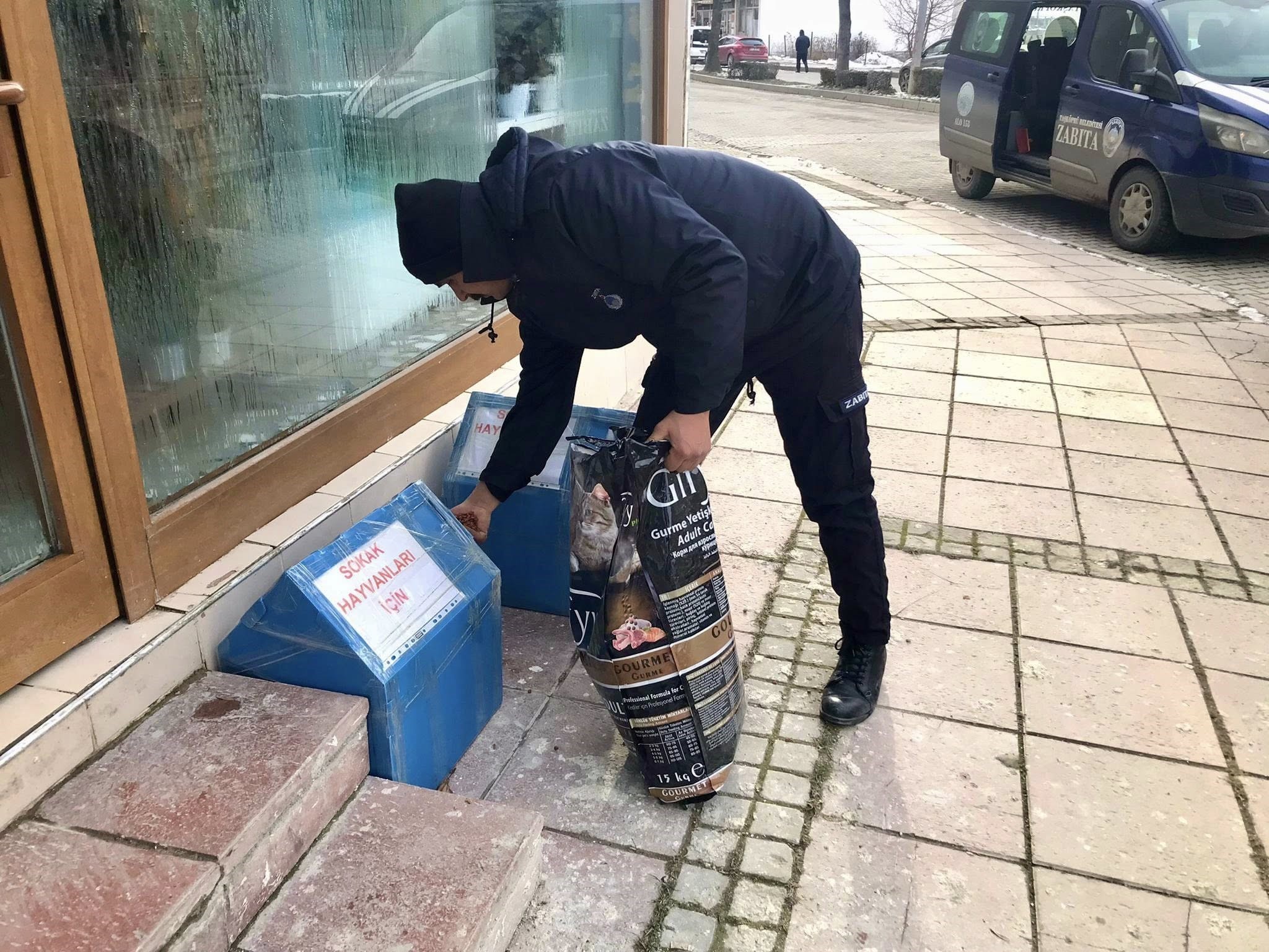 Taskopru Sokak Hayvanları (2)