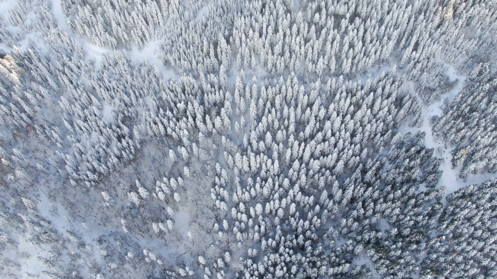 Yaralıgoz Kartpostallık Goruntu (2)