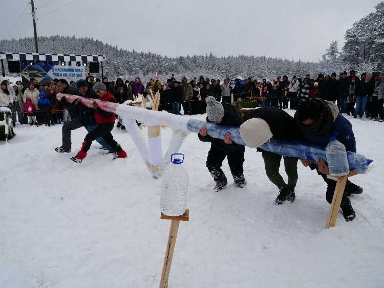 Arac Yayla Festivali