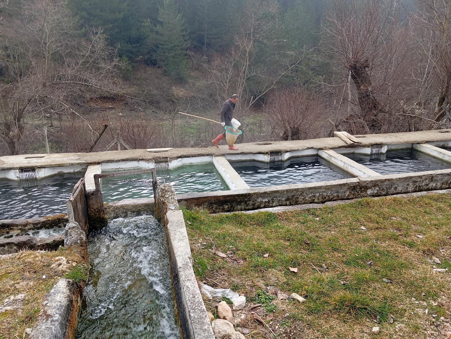 Balık Uretim Tesisleri Denetimi (2)