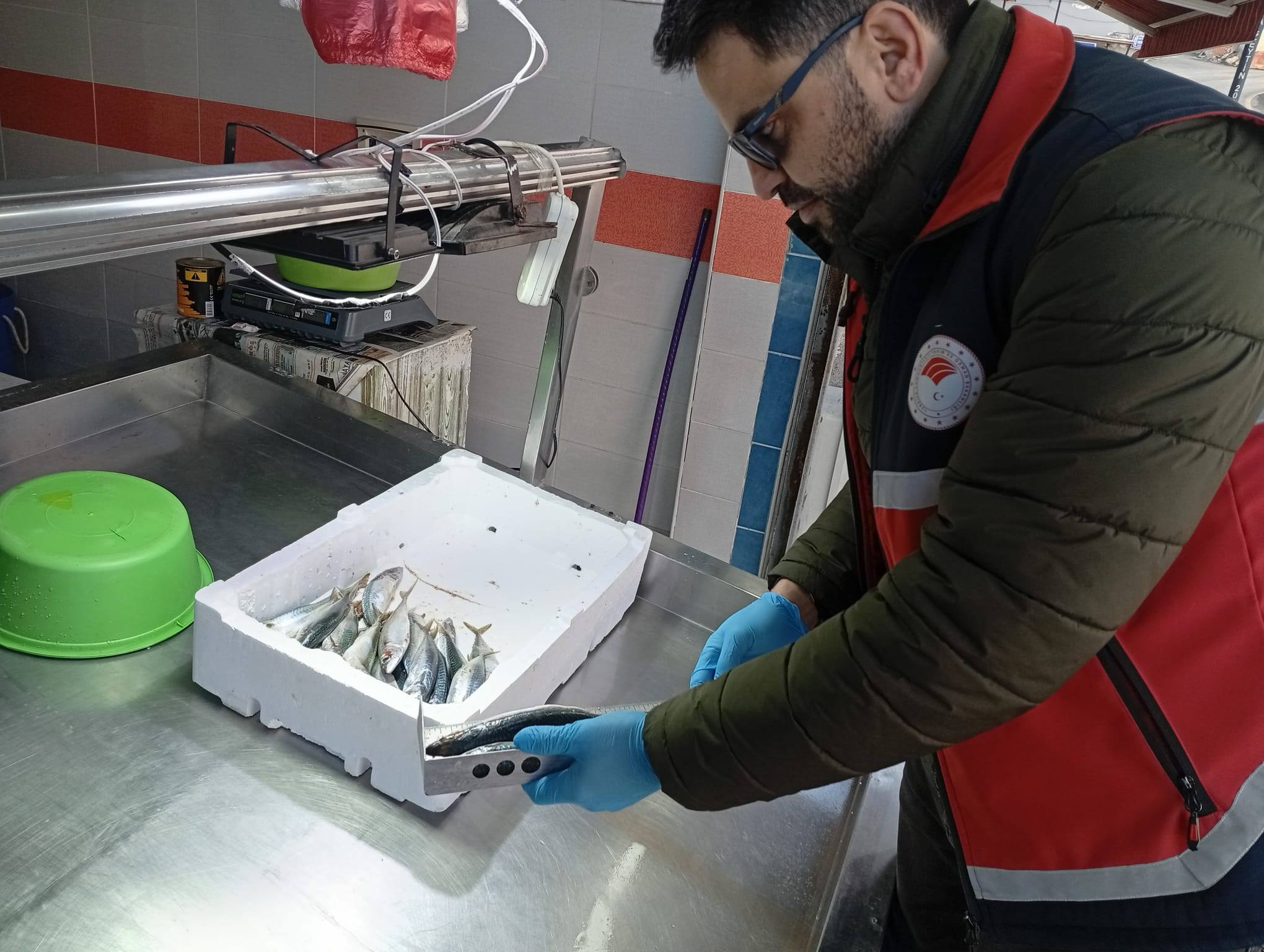 Catalzeytin Denetim (2)