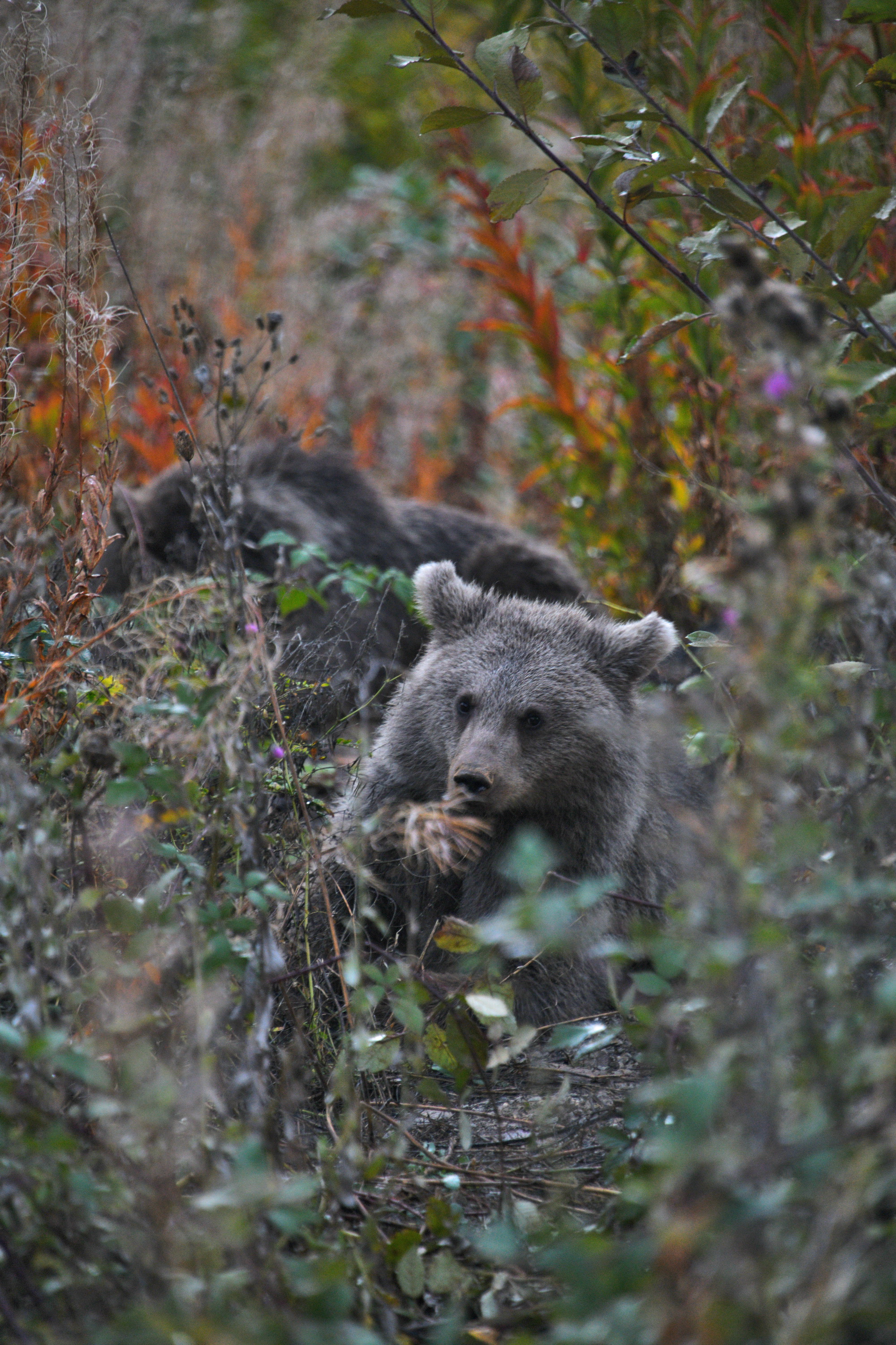 Cebrail Keleş 21 Şubat Köşe Yazısı (3)
