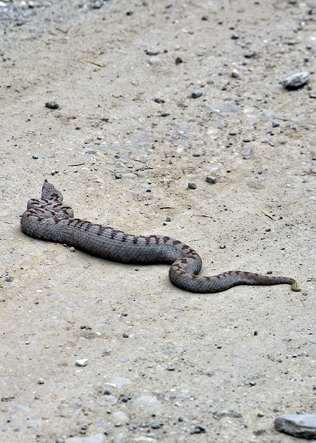 Cebrail Keleş 21 Şubat Köşe Yazısı (4)