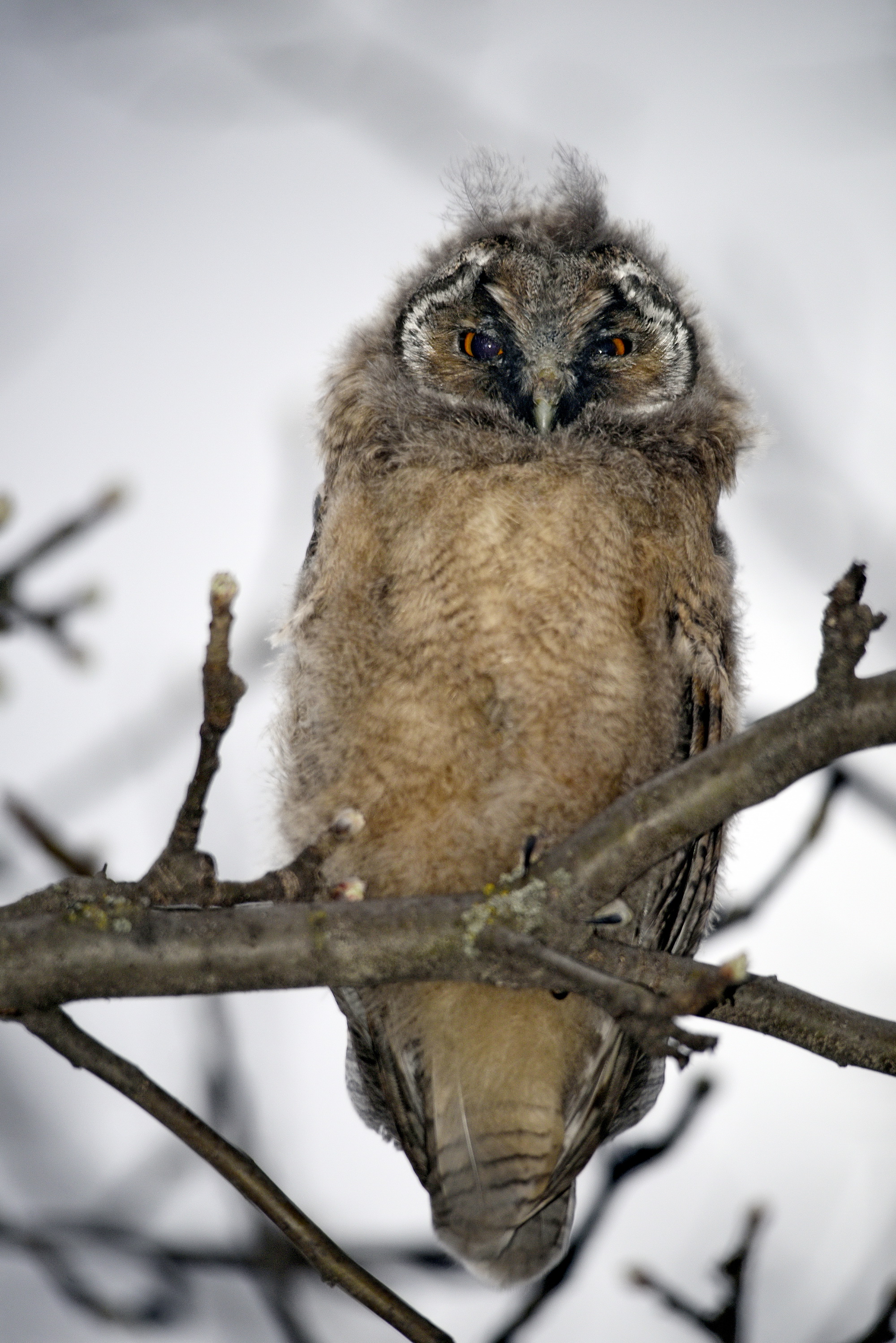 Cebrail Keleş 21 Şubat Köşe Yazısı (6)