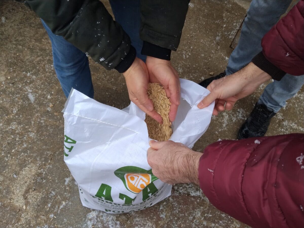 Çiftçiye 43 Ton Yulaf Tohumu Dağıtıldı (1)