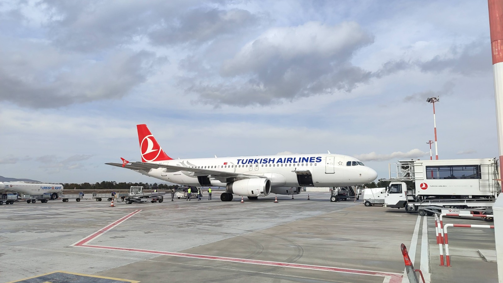 I M G 20260203 W A0003